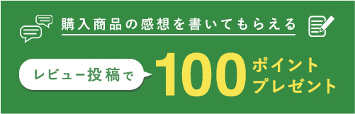 レビュー投稿で100ポイントプレゼント