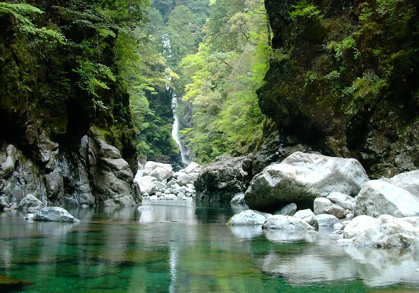 大台町イメージ