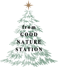 クリスマスツリー
