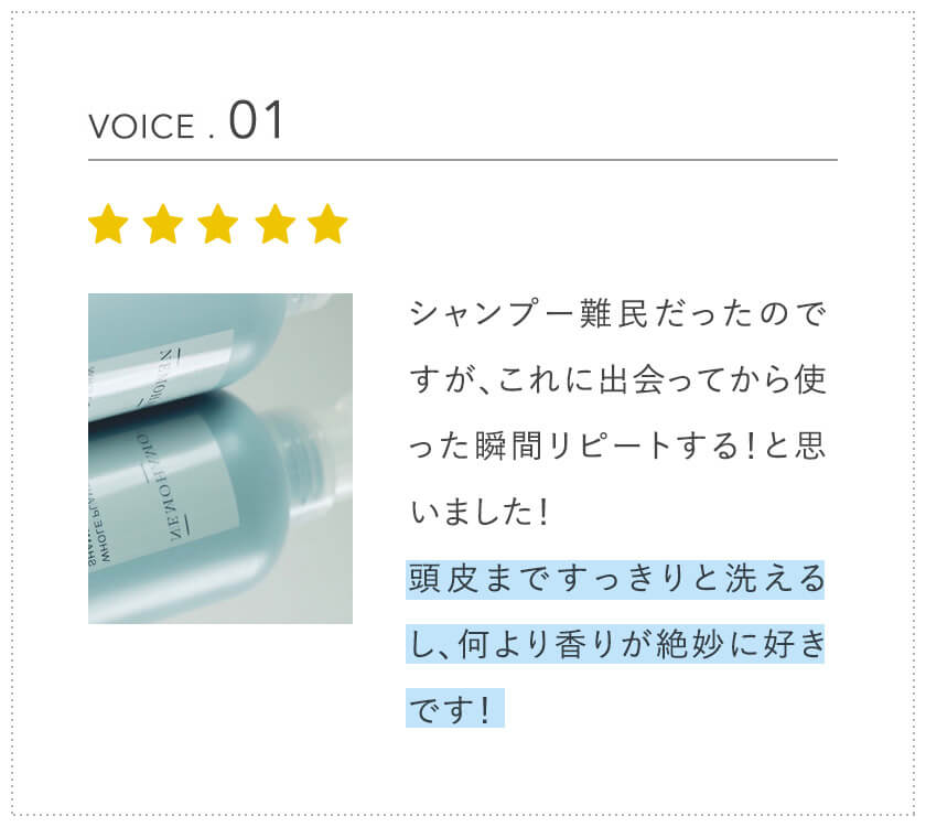 voice1