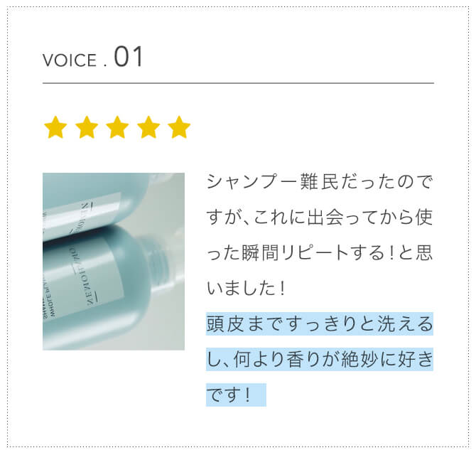 voice1