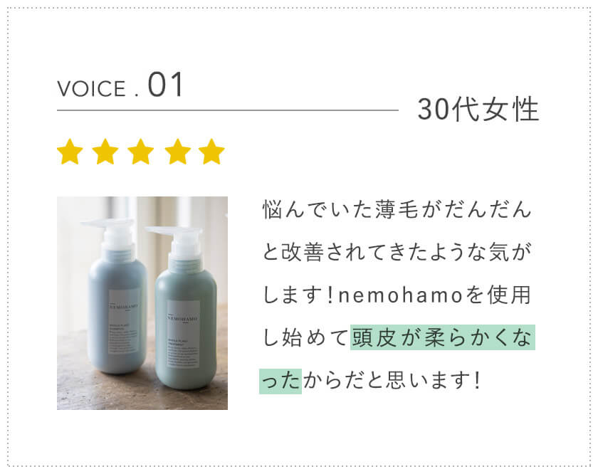 voice1