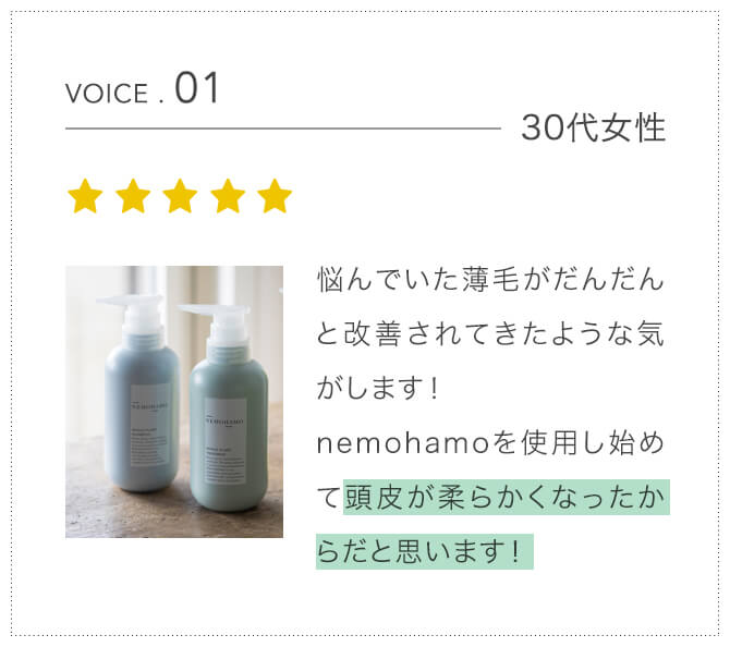 voice1