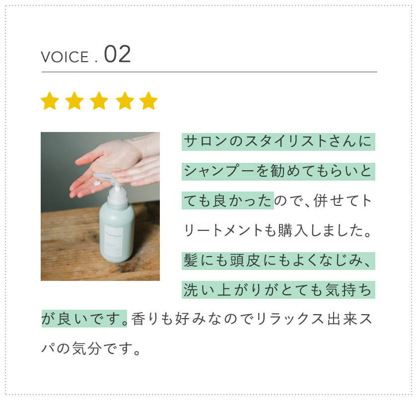 voice2