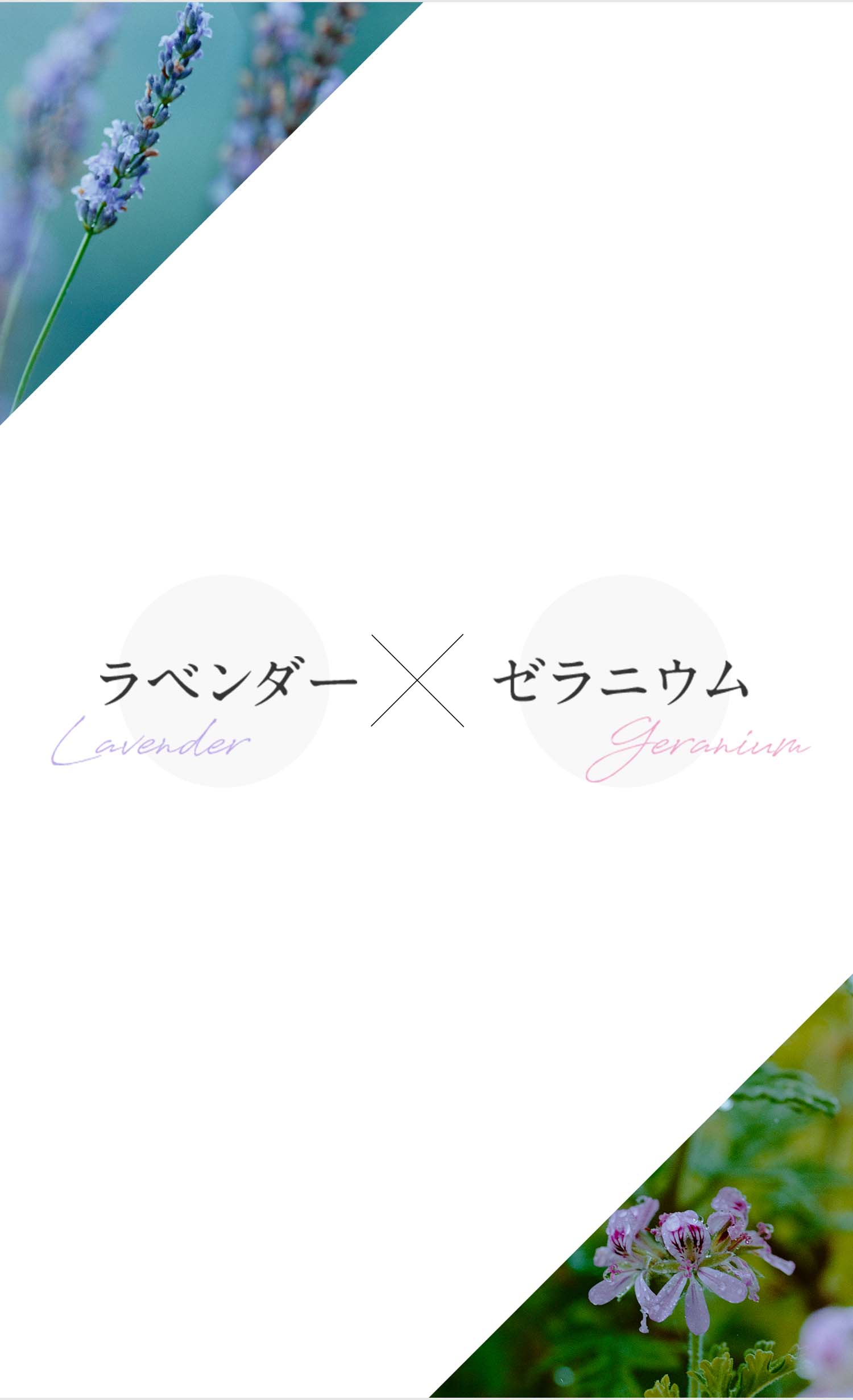 ラベンダー×ゼラニウム