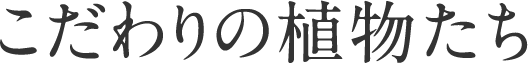 こだわりの植物たち