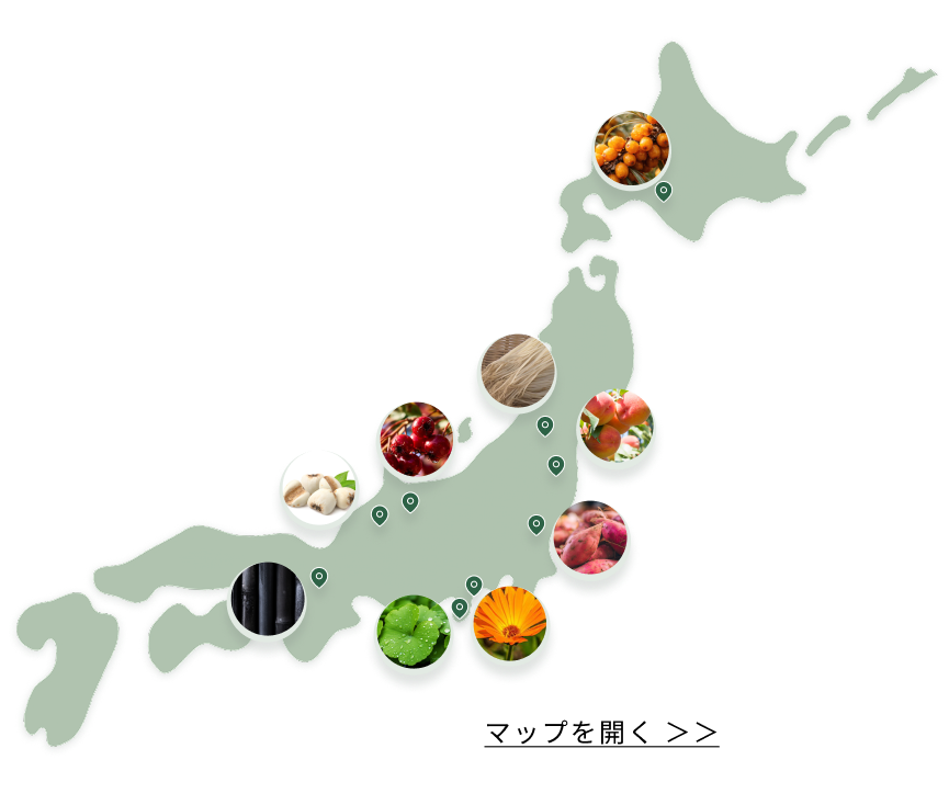 日本各地の植物産地マップ