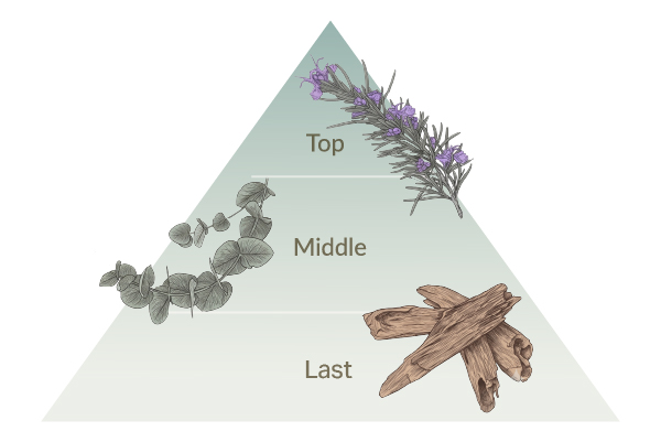 Top,Middle,Last