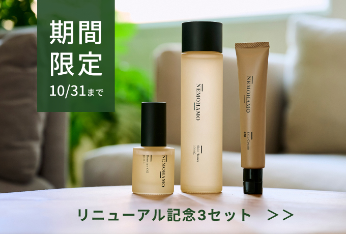 リニューアル記念3セット