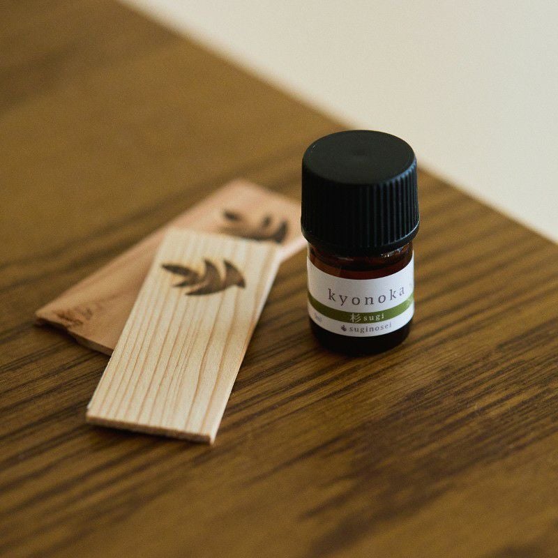 kyonoka　杉 部屋置きシーン