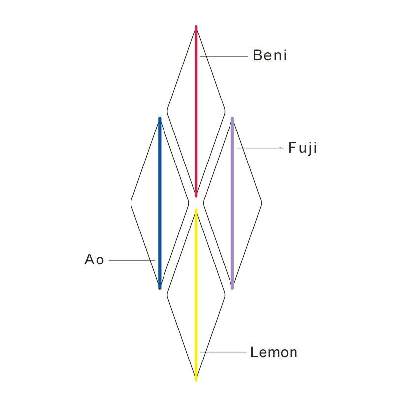 iro-Vivid（ボンボンショコラ） 内訳